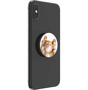 PopSockets - PG Basic - Snoozy Cat